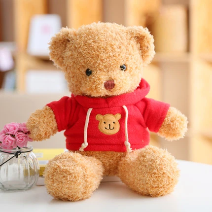 Wholesale Custom Kawaii Plush Animal Toy with Hoodie Promotional Bears