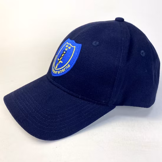 Simple Purple New Promotional Sport Leisure Snapback Hat