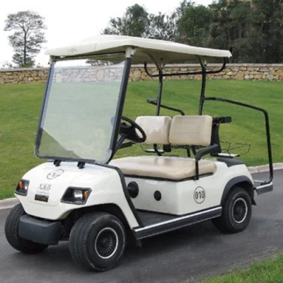 Carrello da golf elettrico promozionale di buona qualità ISO, certificato CE per 2 passeggeri (LT