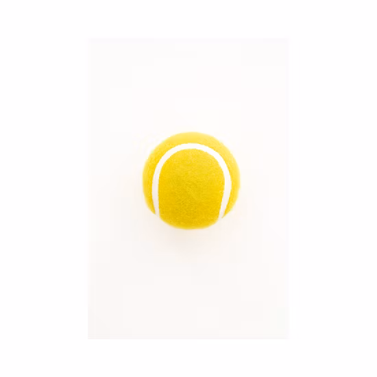 Palla da tennis giocattolo promozionale per il recupero di animali domestici